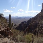 Saddle Mountain trail