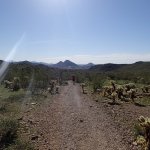 Lost Dog Wash Trail