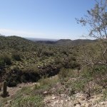 Lost Dog Wash Trail