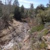 Reavis Ranch (From Reavis trailhead) Reavis Ranch (From Reavis trailhead)