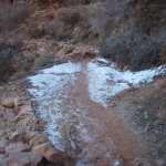 Bright Angel Trail (Grand Canyon)