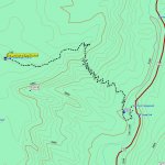 A.B. YOUNG TRAIL #100 A.B. YOUNG TRAIL #100