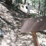 A.B. YOUNG TRAIL #100 A.B. YOUNG TRAIL #100