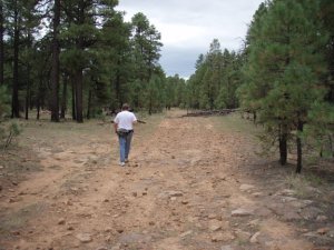 Canyon Point Rim View Trail