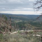 Canyon Point Rim View Trail