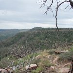 Canyon Point Rim View Trail