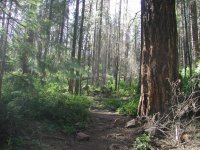 Canyon Point Sinkhole Trail