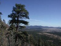 Elden Lookout Elden Lookout