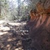 Dry Creek trail