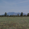 Views of the San Francisco Peaks from Anderson Mesa