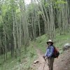 Aspen along the Bear Jaw trail