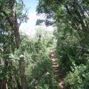 Mingus mountain loop hiking trail