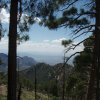 Views from the Mount Lemmon trail