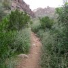 Peralta canyon trail