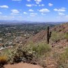 Views from the Cholla Trail