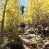 fall colors on Mount Elden trail