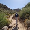 hiking along the Mesquite canyon-Willow canyon trail loop (White tank regional park)