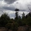 Juniper Ridge fire lookout tower