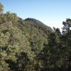 Cherum peak views