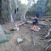 Camp near Reavis creek