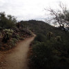 Hiking the Ridgeline trail