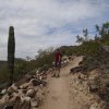 Hiker on the Deem hills trail