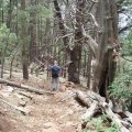 Hiking along the Donahue trail