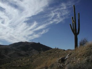 Mesquite canyon-Willow canyon trail loop (White tank regional park)