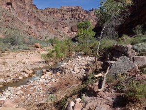 Hiking to the North Bass Camp from the Colorado river