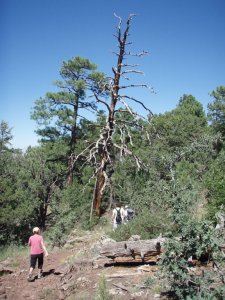 Hikers on the Timber mesa trail