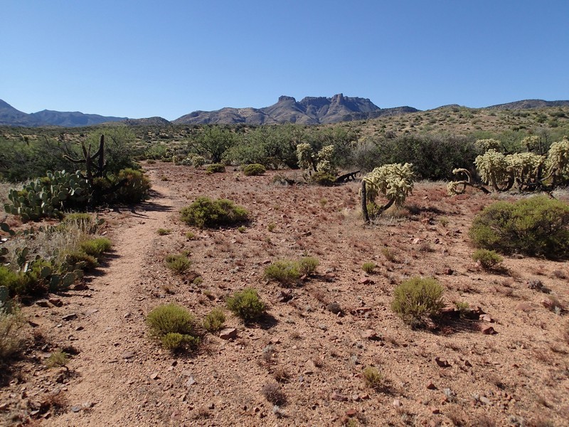 Arizona Hiking - Tule Trail