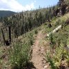 Hiking on the Little Bear trail