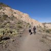Hikers along the Brown&#039;s Mountain trail - McDowell Sonoran preserve