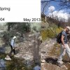 Before and after a fire along the Marion spring trail