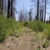west fork - little Colorado trail