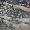 Petroglyphs in West Clear Creek