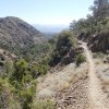 Barnhardt trail