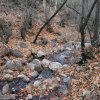 Creek through Devil&#039;s chasm