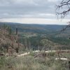 Views from the Canyon point rim trail