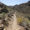 Mesquite canyon-Willow canyon trail loop (White tank regional park)
