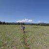 hikes along the west fork - little Colorado trail