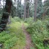 The Mormon Mountain trail