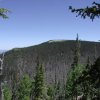 Views from Mount Baldy trail