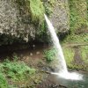 Small waterfall along the Oneonta gorge trail