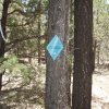 Blue diamond trail marker on the Land of the Pioneers trail