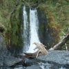 A waterfall along the Cains head coastal trail