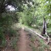 Bull Pen Ranch trail