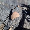 Pottery shard at the Sears Kay site