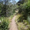 Barnhardt trail