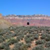 Feeling small in the Grand Canyon along the Tonto trail